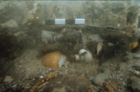 Pewter flagon above bellarmine jug and stoppered jar in situ on starboard side, test excavation 1999.